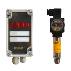 Bộ hiển thị và điều khiển Aplisens WW-11N / WW-45